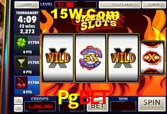 Provedores de Jogos Pgbet